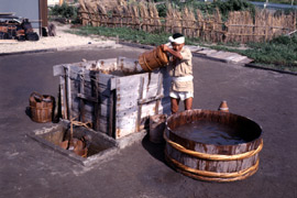 (3)砂を集めて海水をかけ、濃い塩水（かん水）を採ります。