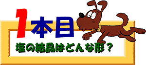 クイズ1本目：塩の結晶はどんな形？