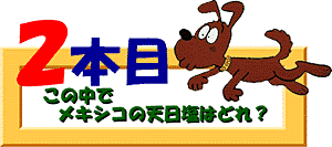 クイズ２本目：この中でメキシコ天日塩はどれ？