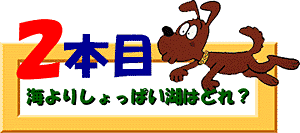 クイズ２本目：海よりしょっぱい湖はどれ？