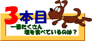 クイズ3本目：一番たくさん塩を食べているのは？