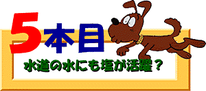 5本目：水道の水にも塩が活躍？