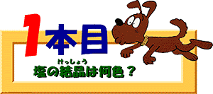 クイズ1本目：塩の結晶は何色？