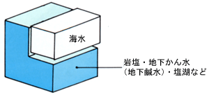 利用されている塩資源の割合