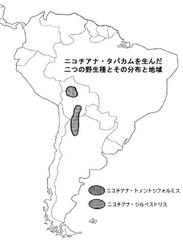 ニコチアナ・タバカムを生んだ二つの野生種とその分布地域