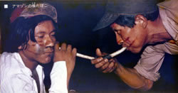 嗅ぎたばこ(アマゾン地方)(撮影:山本紀夫)