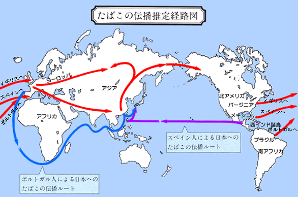 たばこ文化の伝播推定経路図