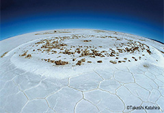 Famous Sights along the Sumida River Depicted in Ukiyo-e