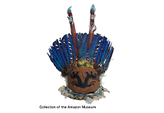 The Amazon: Nature and the Life of the Indigenous People