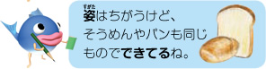 姿はちがうけど、そうめんやパンも同じものでできてるね。
