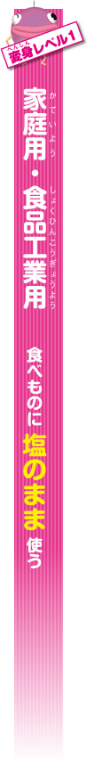 変身レベル1　家庭用・食品工業用　食べものに塩のまま使う