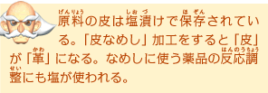 原料の皮は塩漬づけで保存されている。「皮なめし」加工をすると「皮」が「革」になる。なめしに使う薬品の反応調整にも塩が使われる。