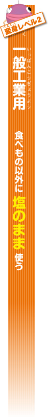 変身レベル2　一般工業用　食べ物以外に塩のまま使う