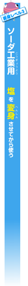 変身レベル3 ソーダ工業用 塩を変身させてから使う