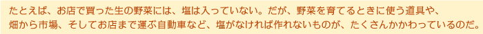 たとえば、お店で買った生の野菜には、塩は入っていない。だが、野菜を育てるときに使う道具や、畑から市場、そしてお店まで運ぶ自動車など、塩がなければ作れないものが、たくさんかかわっているのだ。