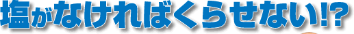 塩がなければくらせない!?