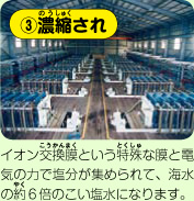 ③濃縮され　イオン交換膜という特殊な膜と電気の力で塩分が集められて、海水の約6倍のこい塩水になります。