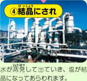 ④結晶にされ　水が蒸発していき、塩が結晶になってあらわれます。