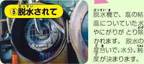 ⑤脱水されて　脱水機で、塩の結晶についた水やにがりがとり除かれます。脱水の度合いで、水分、純度が決まります。