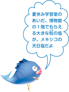 夏休み学習室のあいだ、博物館の1階でもらえる大きな粒の塩が、メキシコの天日塩だよ