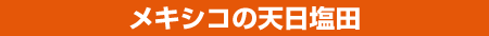 メキシコの天日塩田