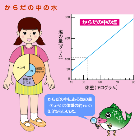 からだの中の水