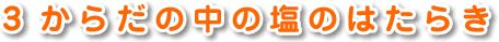 3 からだの中の塩のはたらき