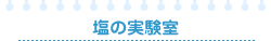 塩の実験室