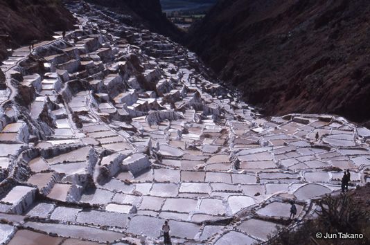 現在も採塩が続けられているマラスの塩の棚田