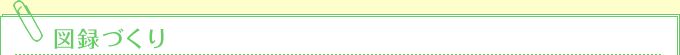 図録づくり