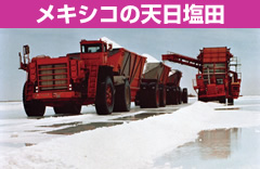 メキシコの天日塩田