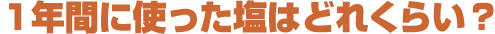 1年間に使った塩はどれくらい?