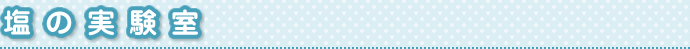 塩の実験室