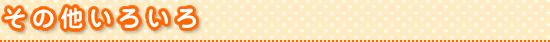 その他いろいろ
