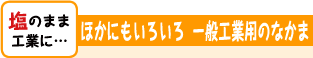 塩のまま工業に…　ほかにもいろいろ 一般工業のなかま