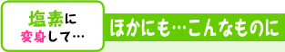 塩素に変身して… ほかにも…こんなものに