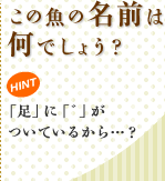 この魚の名前は何でしょう? HINT 「足」に「゛」がついているから…?
