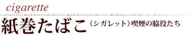 cigar 紙巻たばこ（シガレット） 喫煙の脇役たち