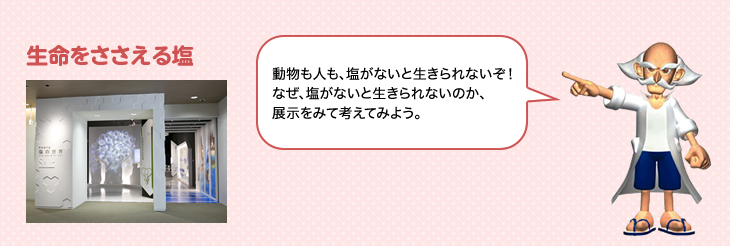 生命をささえる塩