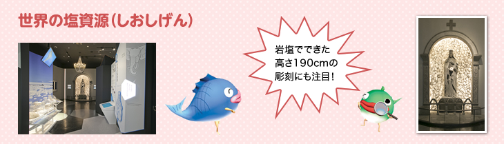 世界の塩資源（しおしげん）