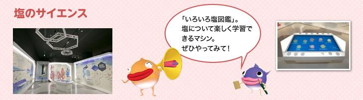 塩のサイエンス