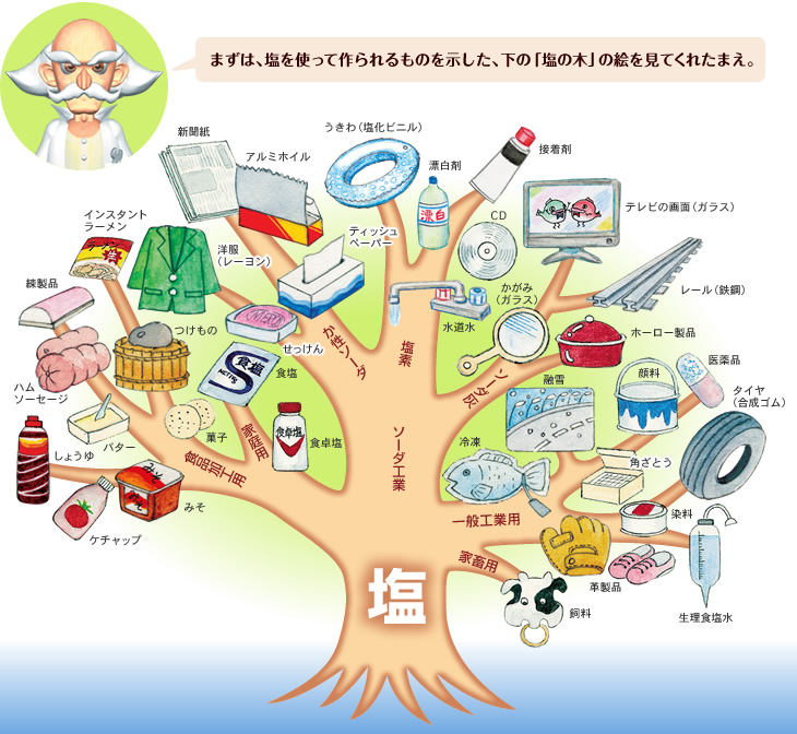 まずは、塩を使って作られるものを示した、下の「塩の木」の絵を見てくれたまえ。