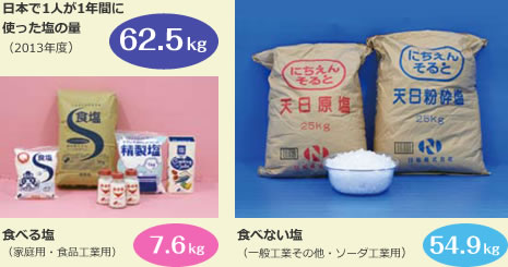 日本で1人が1年間に使った塩の量（2013年度）