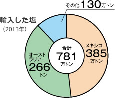 輸入した塩（2013年）