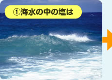 1 海水の中の塩は