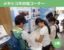 メキシコ天日塩コーナー 1階