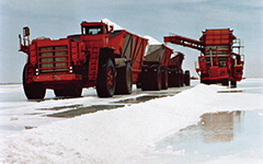 メキシコの天日塩田