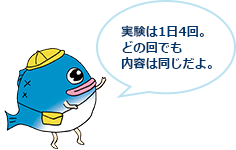 実験は1日4回。どの回でも内容は同じだよ。
