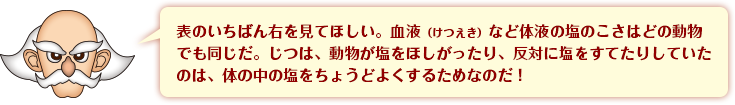 表のいちばん右を見てほしい。血液(けつえき)など体液の塩のこさはどの動物でも同じだ。じつは、動物が塩をほしがったり、反対に塩をすてたりしていたのは、体の中の塩をちょうどよくするためなのだ!