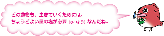 どの動物も、生きていくためには、ちょうどよい量の塩が必要(ひつよう)なんだね。